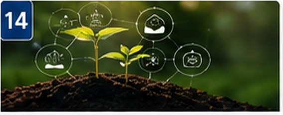 Connected digital ecosystem representing a coordinated social media content system